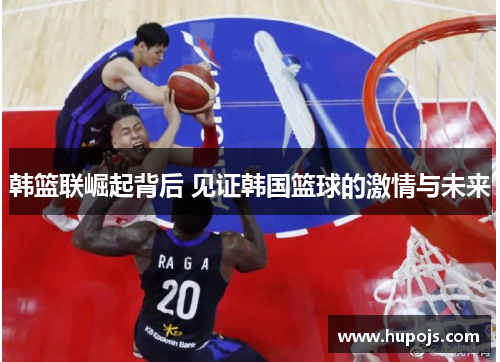 韩篮联崛起背后 见证韩国篮球的激情与未来